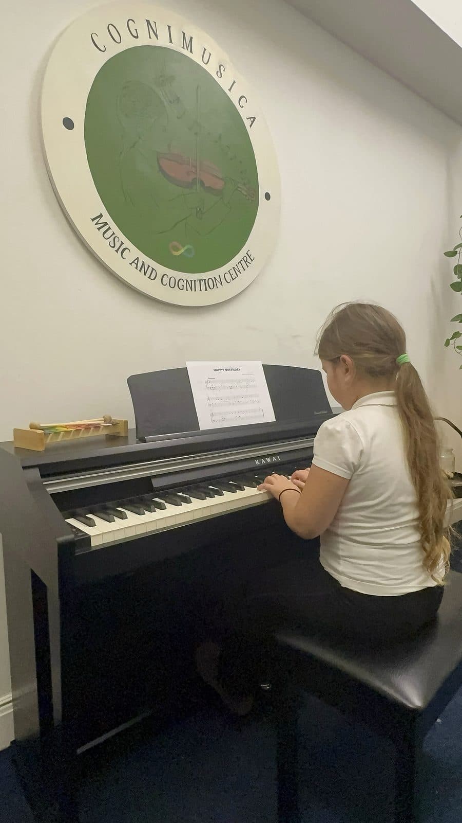 CogniMusica music lesson in Scotland